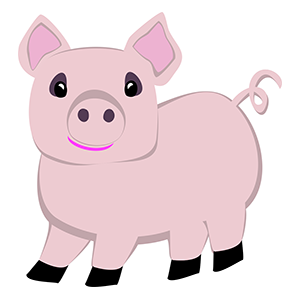 illustration pig